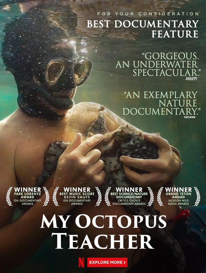 Cover image of the documentary My Octopus Teacher, showing a man holding an octopus