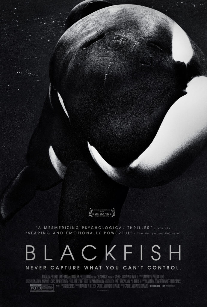 Cover image of the documentary Blackfish, showing a black and white image of an orca looking into the camera 