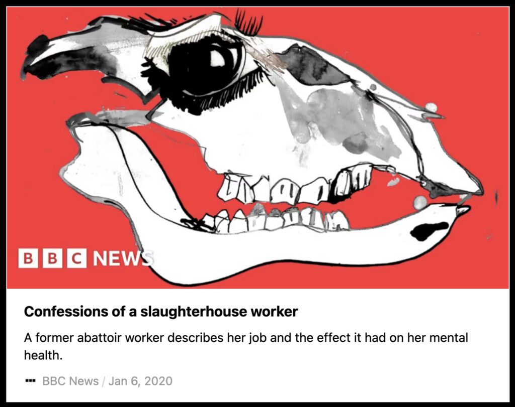 Article from BBC about the confessions of a slaughterhouse worker, with an illustration of the head of a cow