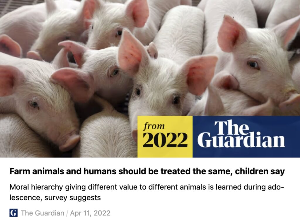 An article from The Guardian about how children believe farm animals deserve equal treatment to humans, showing an image of multiple piglets